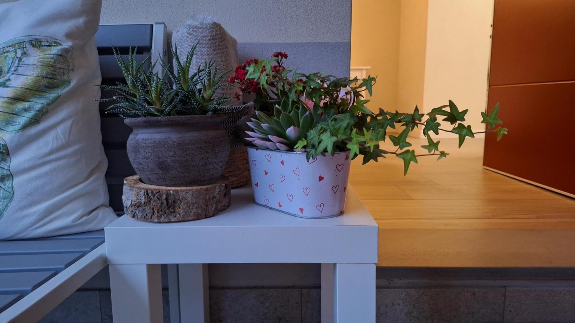 Bed and Breakfast La Tana Del Geco Iseo Zewnętrze zdjęcie